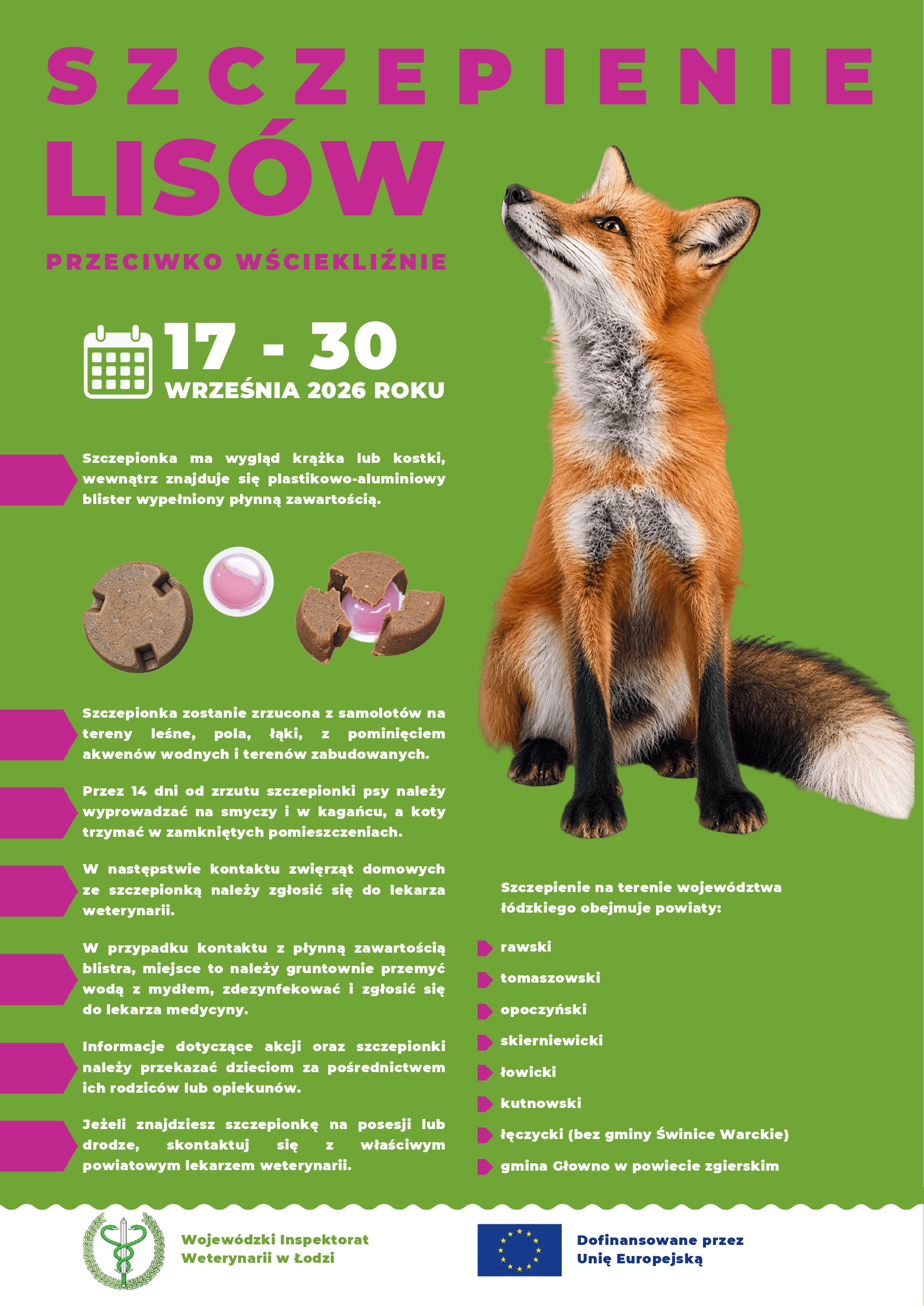 Jesienna akcja szczepienia lis&oacute;w 