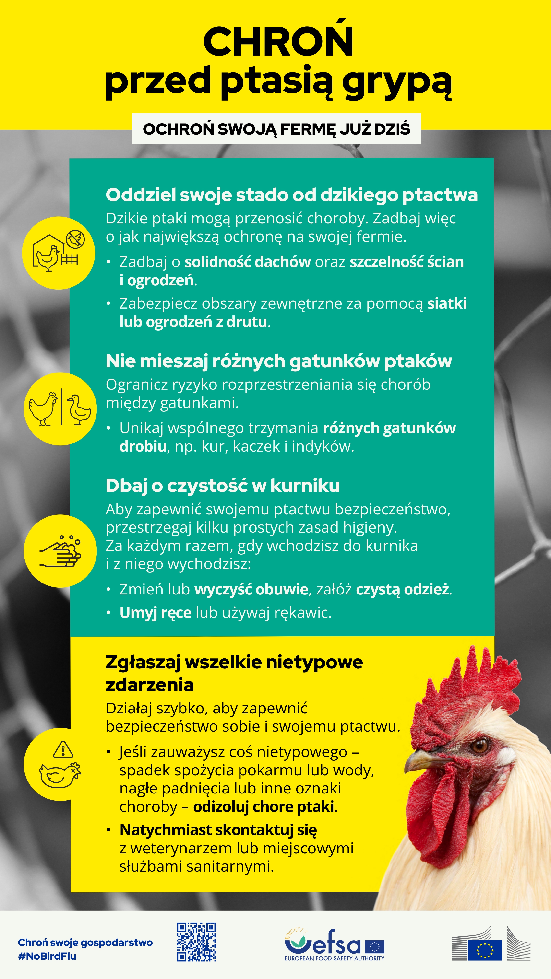 Chroń przed ptasią grypą