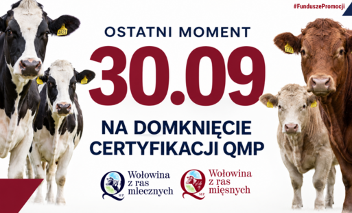 QMP