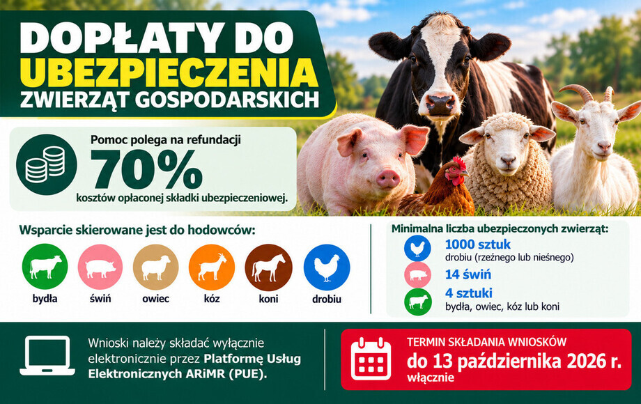 Dofinansowanie ubezpieczenia zwierząt gospodarskich w ARiMR