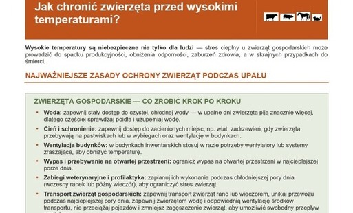 Jak chronić zwierzęta przed wysokimi temperaturami?