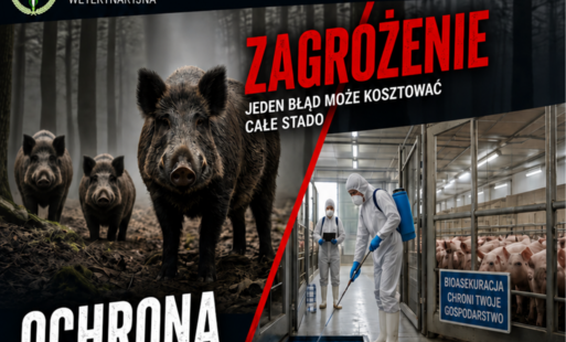 KOMUNIKAT POWIATOWEGO LEKARZA WETERYNARII W KUTNIE 