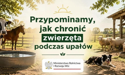 ZW