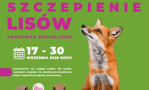 Jesienna akcja szczepienia lisów 