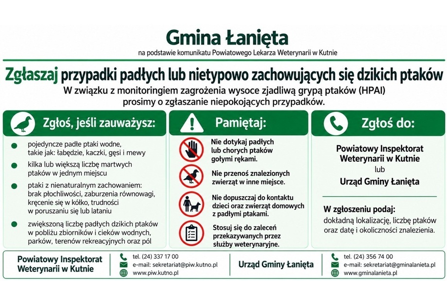 Zgłaszanie padłych i chorych dzikich ptaków w powiecie kutnowskim